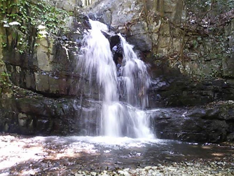 Photo of Takihata 48 Waterfalls